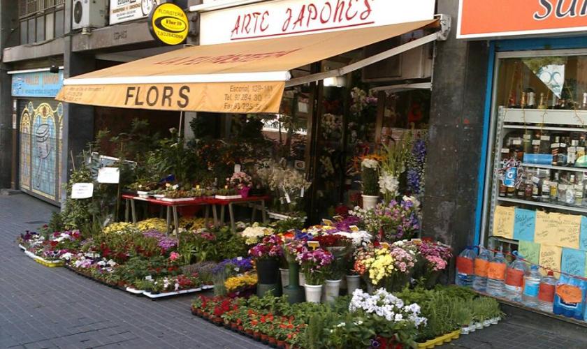Arte Japones FLORISTERIA